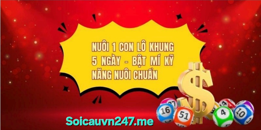 soi cầu 247