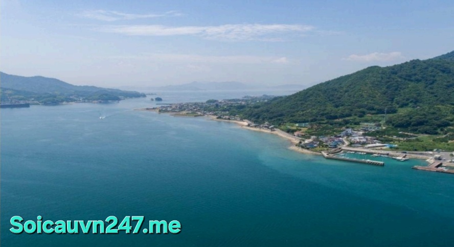soi cầu 247