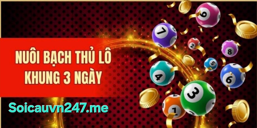 soi cầu 247