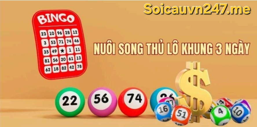 soi cầu 247