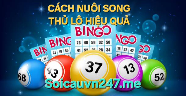 soi cầu 1200